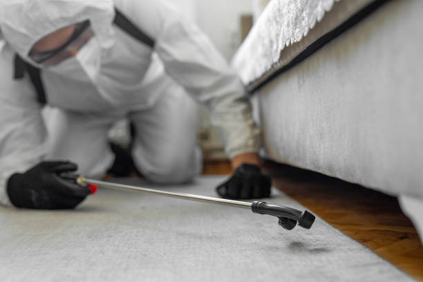 Professional Bed Bug Control technician working in Oakton, VA